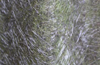 Fangdale Beck fibreglass roof work